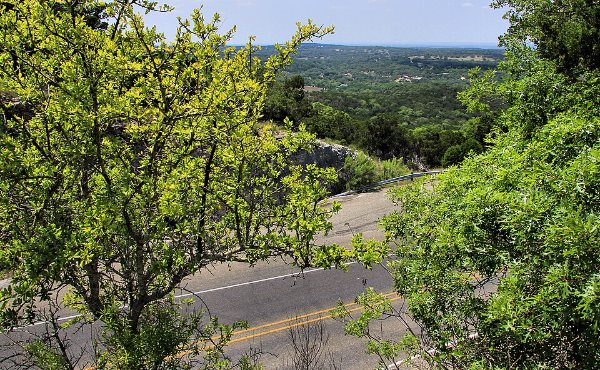 A two-lane farm-to-market road through cedar and live oak Hill Country west of Austin, the Dripping Springs 78620 landscape