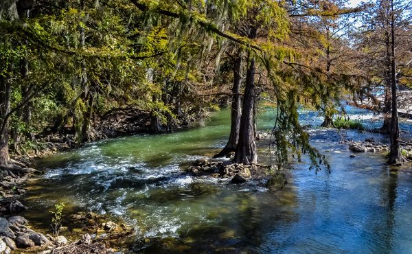 A clear limestone-bed creek in wooded greenbelt, the Balcones canyonland setting around Great Hills 78759 in northwest Austin