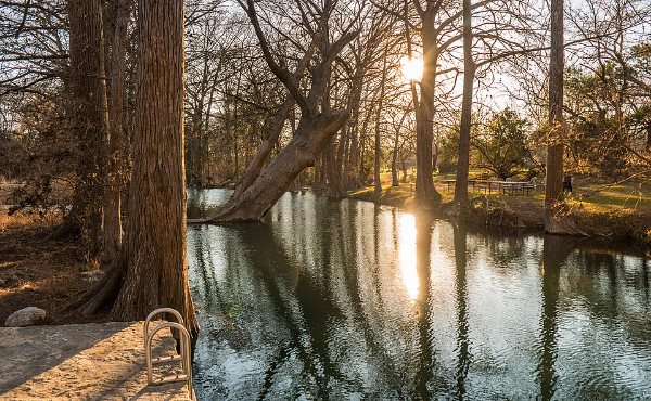 Cypress trees over the spring-fed green water of Blue Hole Regional Park in Wimberley, TX, 78676
